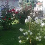 Hébergement de vacances Berci